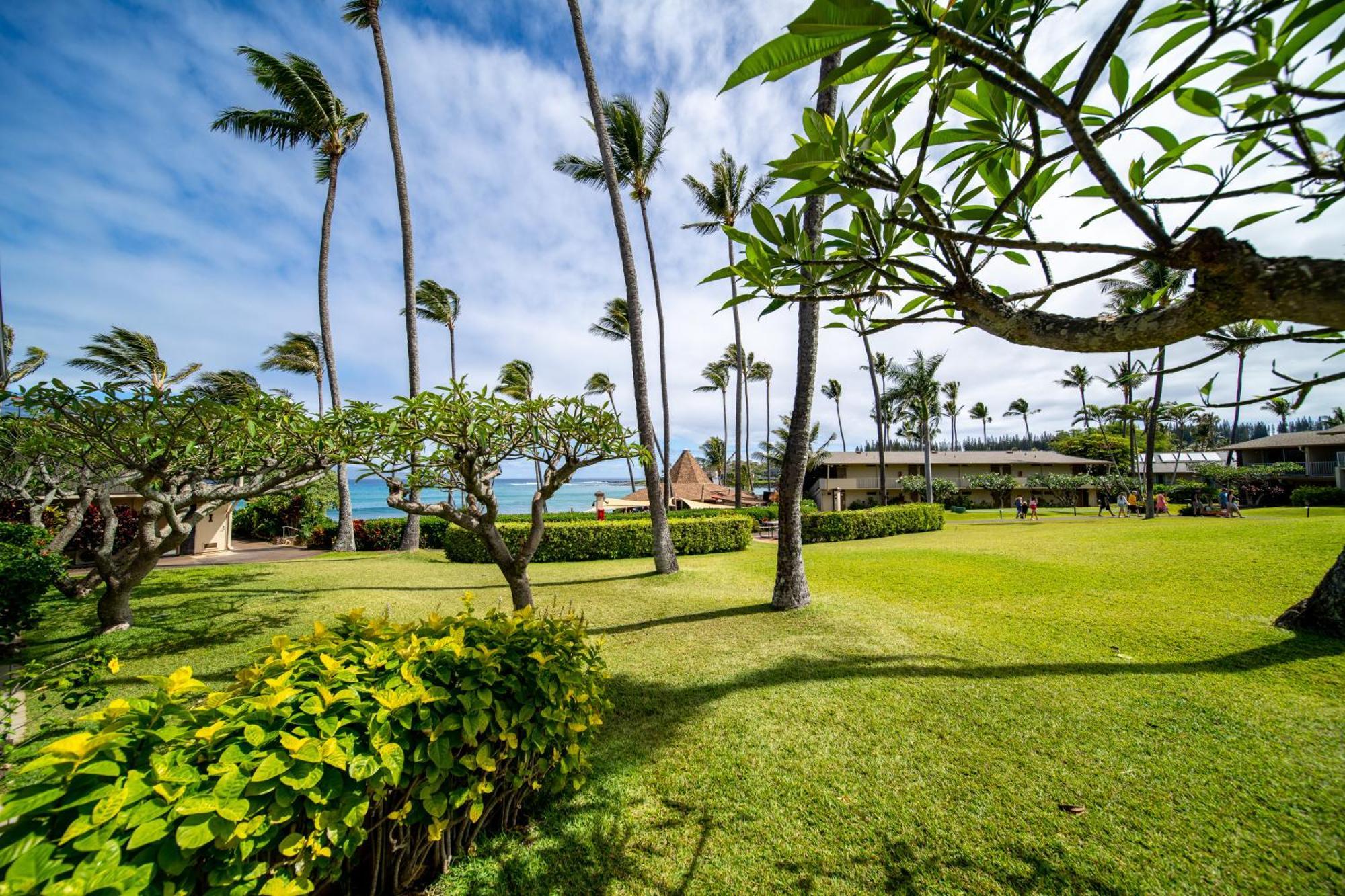 להיינה Napili Shores Maui By Outrigger - No Resort & Housekeeping Fees חדר תמונה